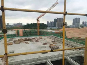 新客廳，新生活 鶴山城市建設(shè)工程施工引領(lǐng)未來(lái)社區(qū)新風(fēng)尚